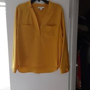 Long sleeve dress blouse